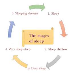 Sleep cycles 1.0