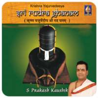 Sri Rudra Ghanam(offline) on 9Apps