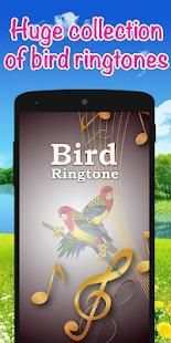 Bird Ringtones - Latest Ringtones 2018 स्क्रीनशॉट 1