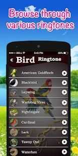 Bird Ringtones - Latest Ringtones 2018 स्क्रीनशॉट 2