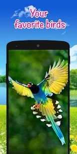Bird Ringtones - Latest Ringtones 2018 स्क्रीनशॉट 6