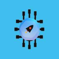 RAM EXPNDER CLEANEAR