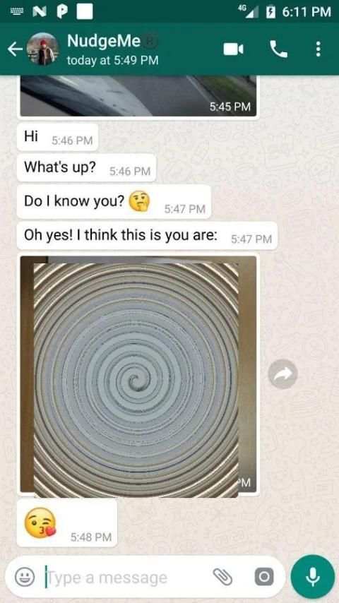 WhatsApp to Telegram Redirector screenshot 4
