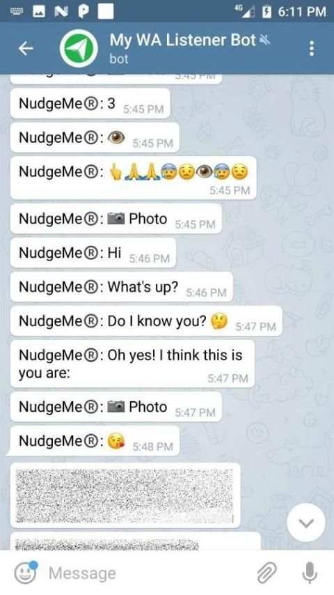 WhatsApp to Telegram Redirector screenshot 3