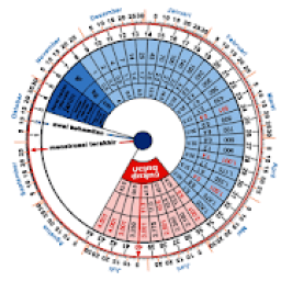 Kalender Kehamilan V3 icon