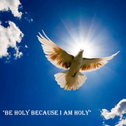 Christians Bible Reference आइकन