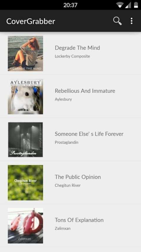 Album Art Downloader screenshot 4