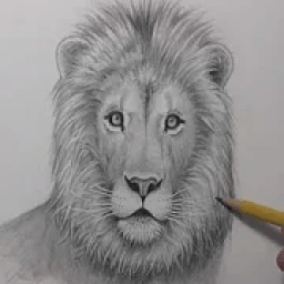 How To Draw Animals आइकन