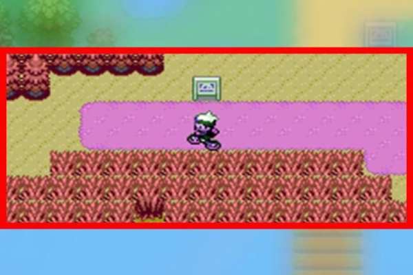 pokemon ruby version Guide screenshot 1