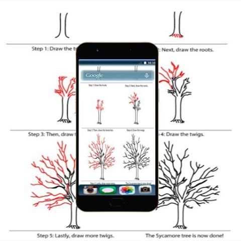 How To Draw Tree Step By Step screenshot 5
