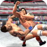 Wrestling Fighting Game - Boxing action stars