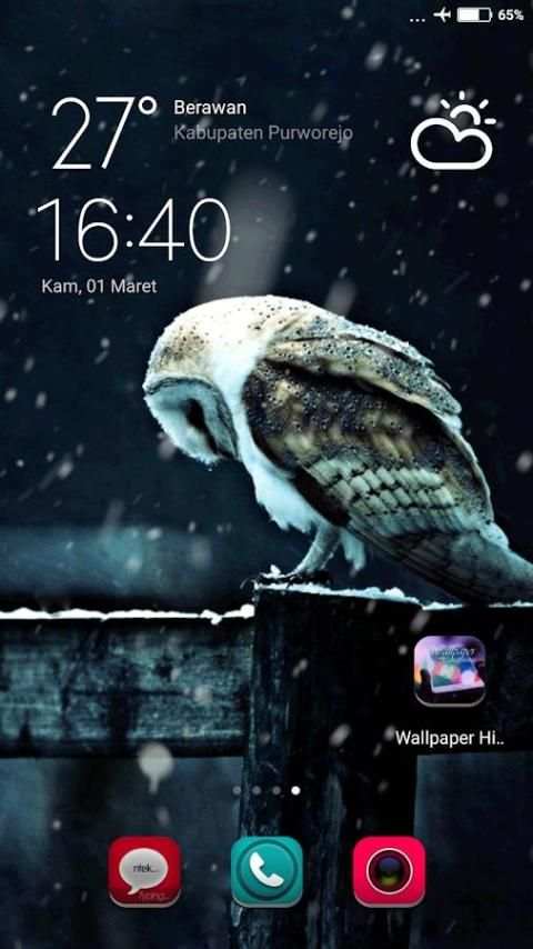 Wallpaper Hidup HD screenshot 4