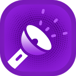 ikon Torch Flashlight