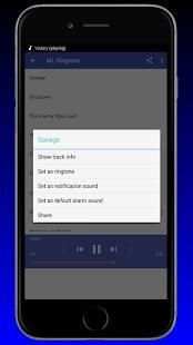 ML Ringtone Offline : Bang screenshot 3