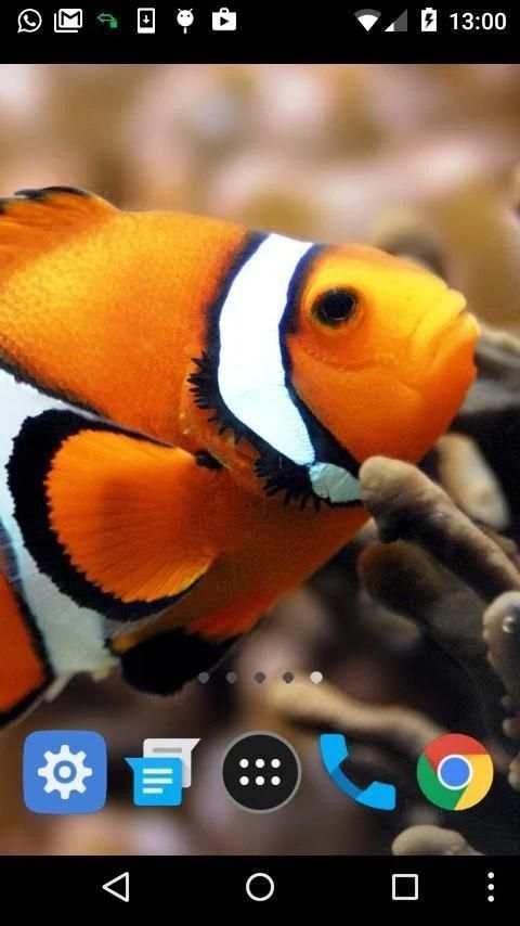 live fish wallpapers screenshot 3