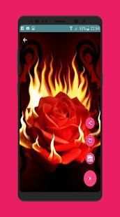 Flower and roses gif collection 5 تصوير الشاشة