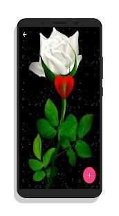 Flower and roses gif collection 6 تصوير الشاشة