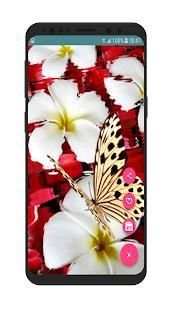 Flower and roses gif collection 1 تصوير الشاشة