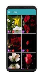 Flower and roses gif collection 3 تصوير الشاشة
