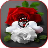 Flower and roses gif collection on 9Apps