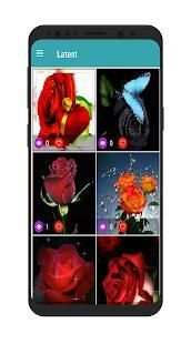 Flower and roses gif collection 8 تصوير الشاشة