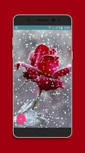 Flower and roses gif collection 4 تصوير الشاشة