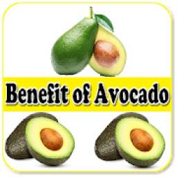 Uses Of Avocado