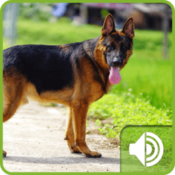 Dog Sounds आइकन