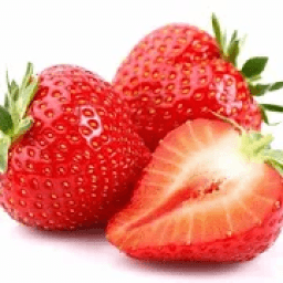 Top 10 Best Foods For Healthy Living आइकन