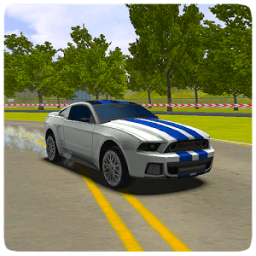 Extreme Car Driving Simulator आइकन