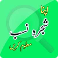 NADRA - Verify Family Tree : NADRA App