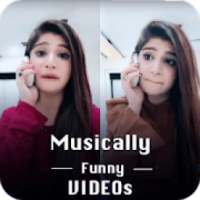 Musically Funny Videos