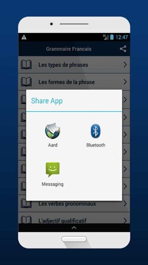 Grammaire Francais скриншот 1