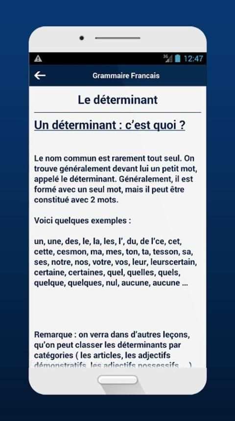 Grammaire Francais скриншот 2