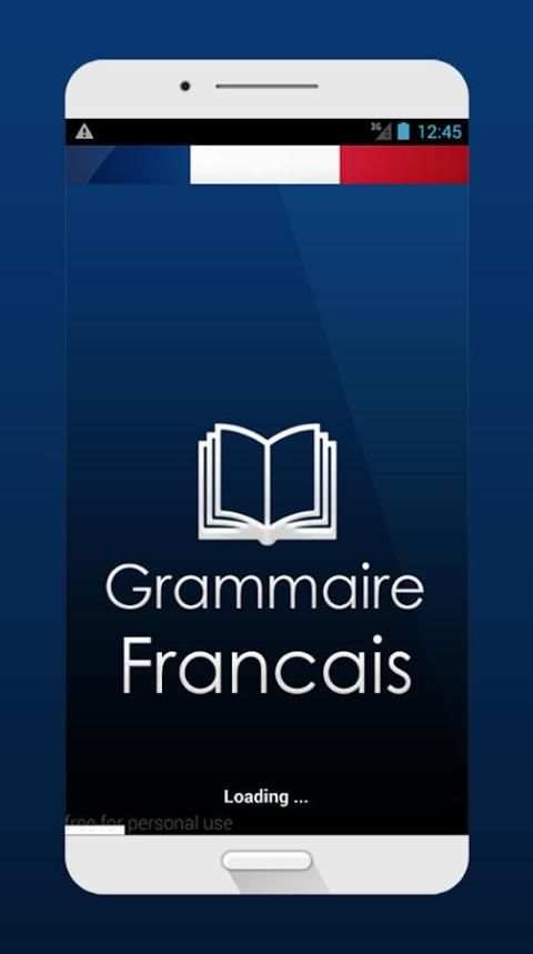 Grammaire Francais скриншот 4