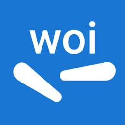 WOI 1.1