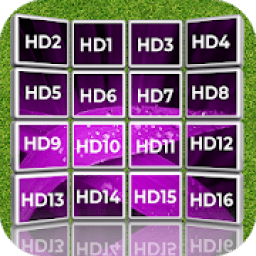 ikon Tv Channels Frequencies For The World Cup