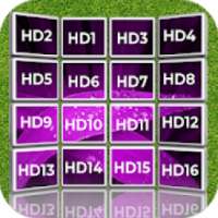 Tv Channels Frequencies For The World Cup