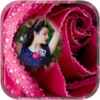 RED ROSE PHOTO FRAME HD-Photo frame editor suit