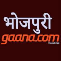 Bhojpuri Gaana.com : All latest Bhojpuri songs