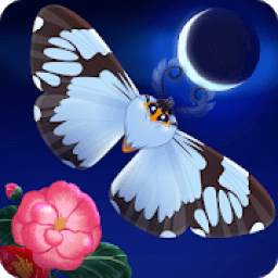 Flutter: Starlight