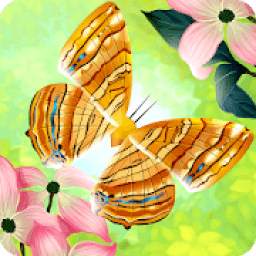 Flutter: Butterfly Sanctuary