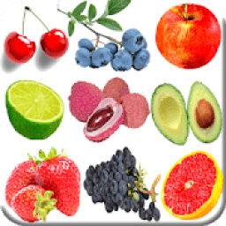 Kids Brain game Picture Match icon