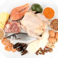 High Protein Diet on 9Apps