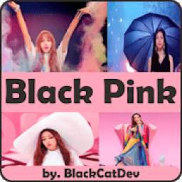 BlackPink All Song 1.0