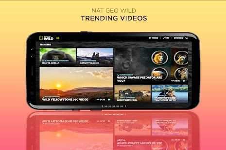 Nat Geo Wild Live - HD Channel: TV Shows & Animals screenshot 6