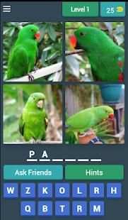 four bird & one answer स्क्रीनशॉट 8