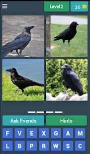four bird & one answer स्क्रीनशॉट 6