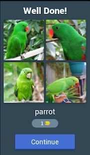 four bird & one answer स्क्रीनशॉट 7