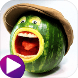 ikon Funny Video , WhatsApp Status - 4Fun